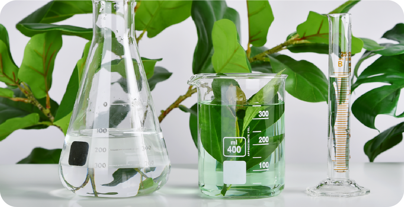 医薬品指定成分の配合一切なし100％植物由来エキスのサプリメント