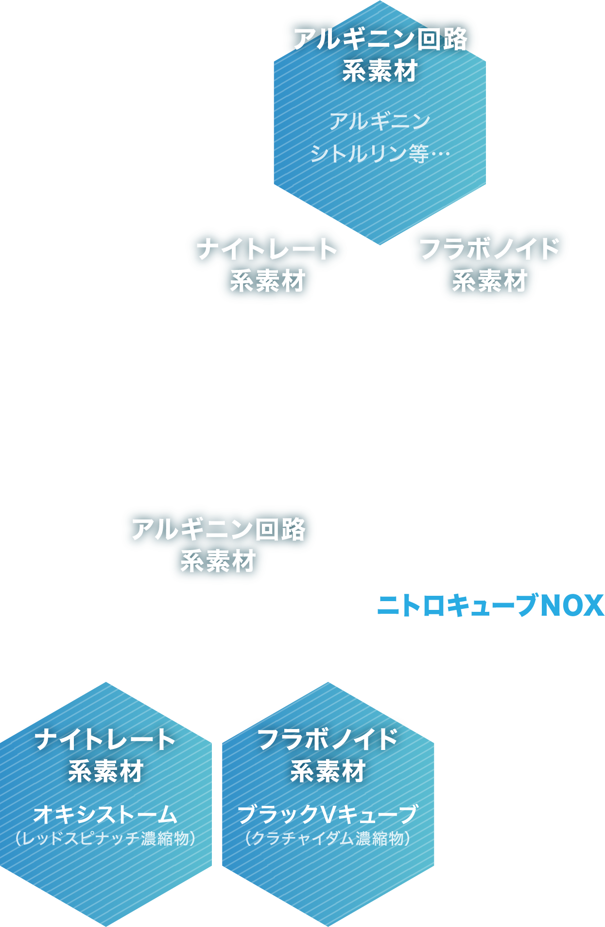 ダブルのNO系メカニズム採用