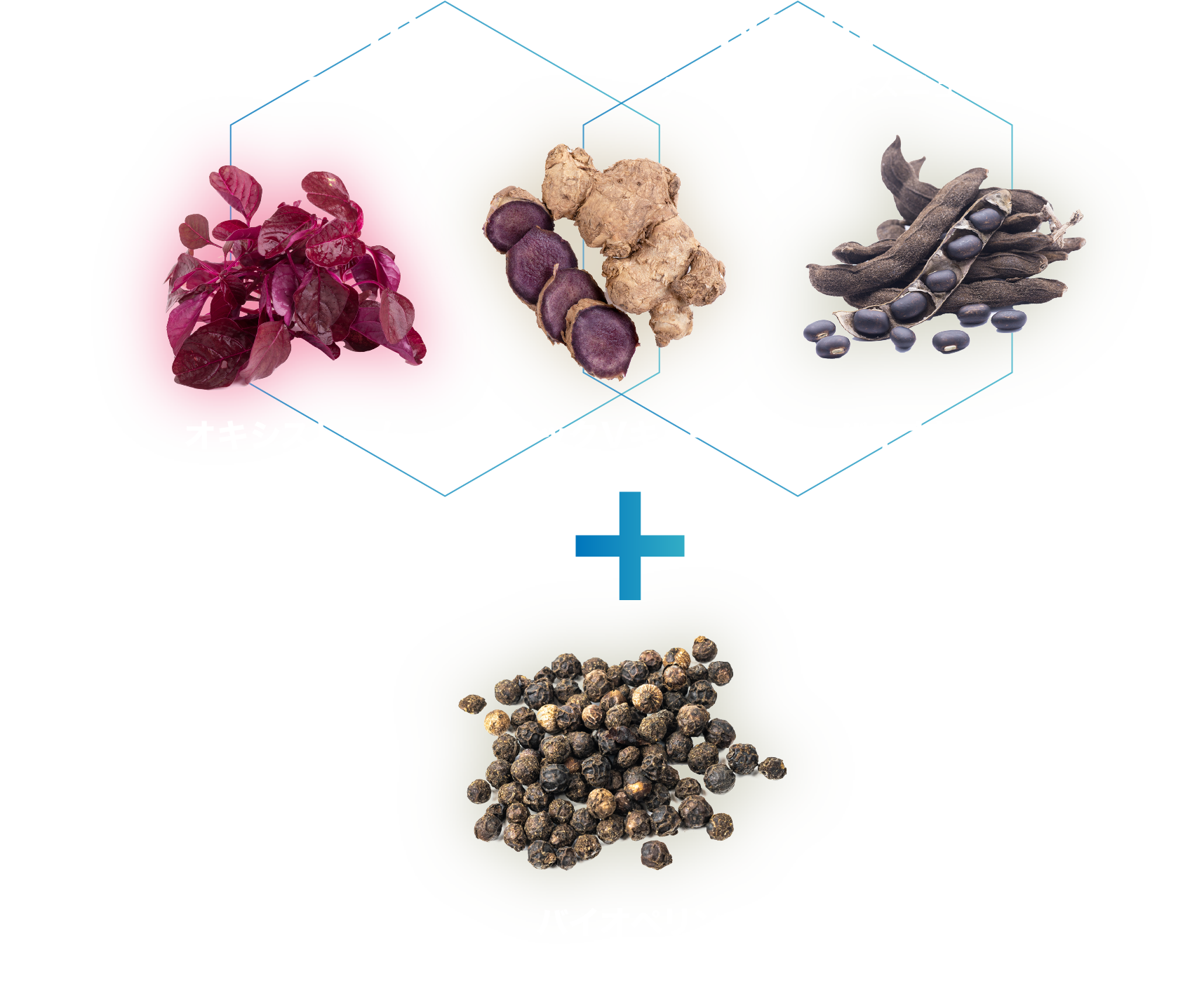 男性コンディショニング