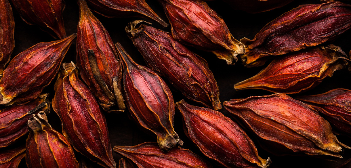 クロセチン（クロビット®P）