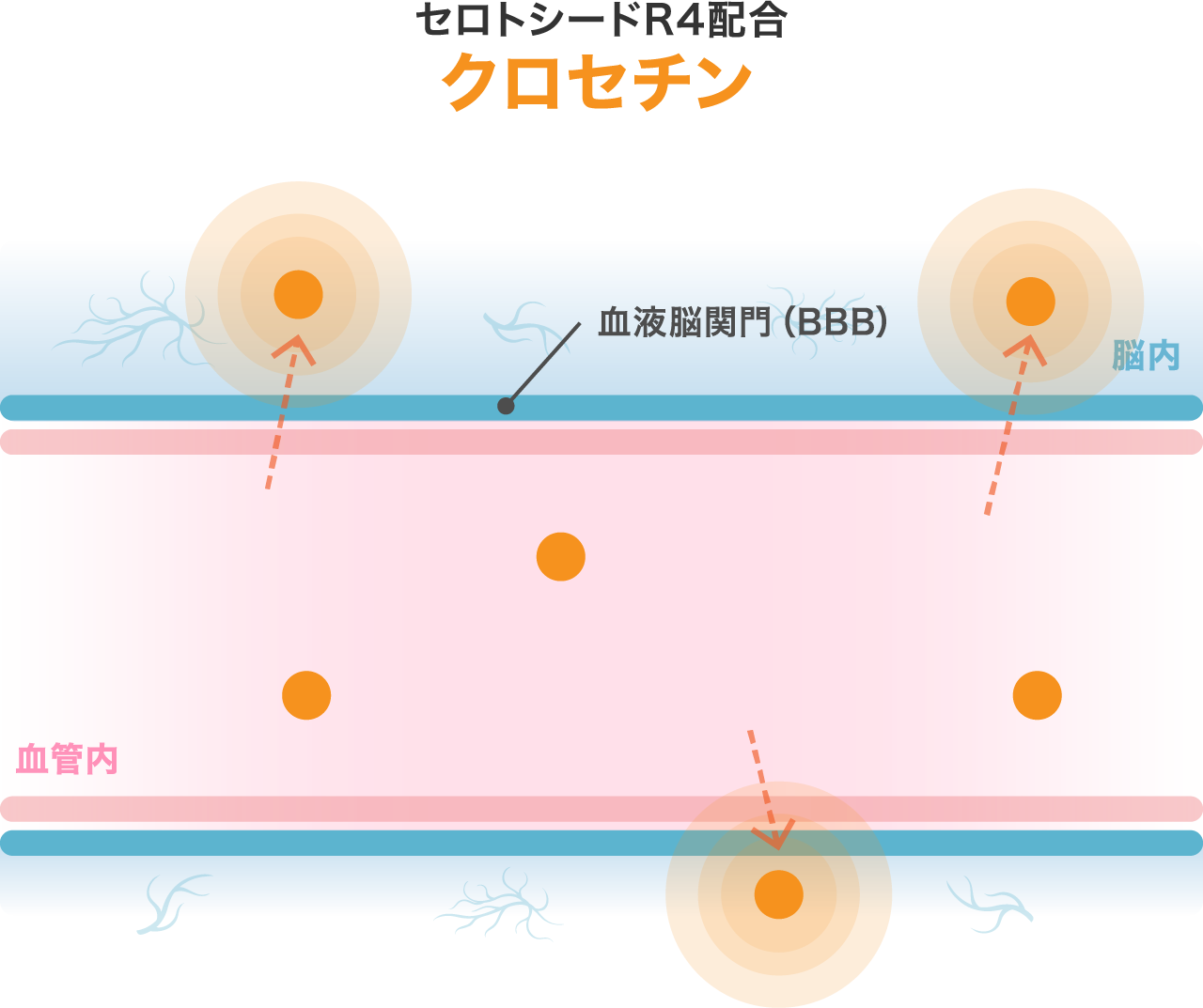 セロトシードR4配合 クロセチン