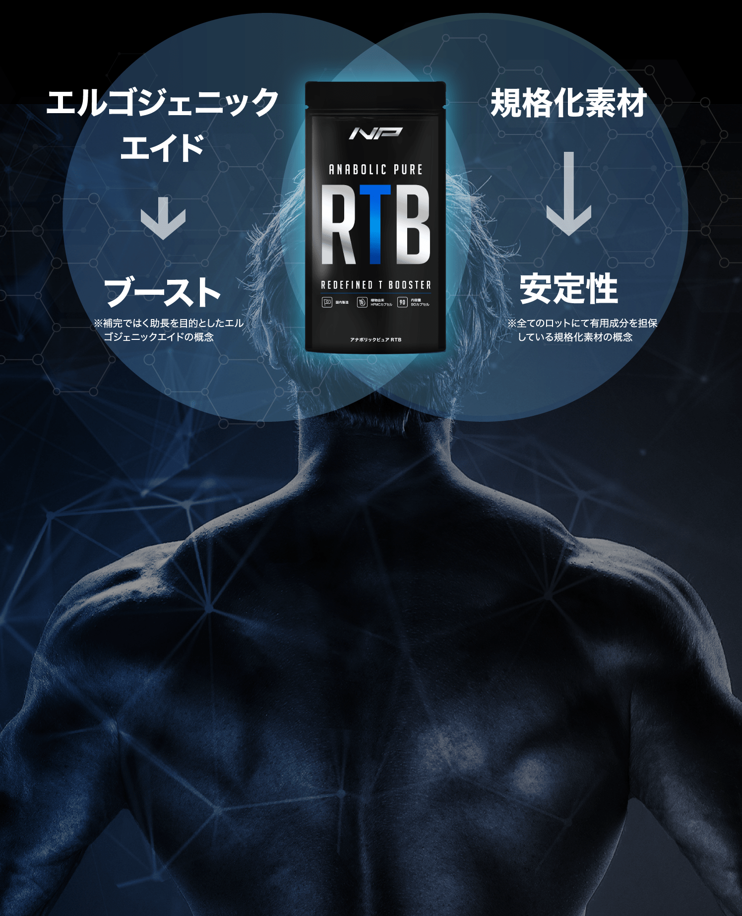 エルゴジェニックエイド→ブースト(※補完ではく助長を目的としたエルゴジェニックエイドの概念) | 規格化素材→安定性(※全てのロットにて有用成分を担保している規格化素材の概念)