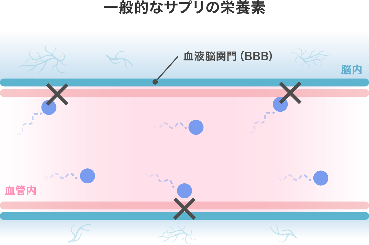 一般的なサプリの栄養素