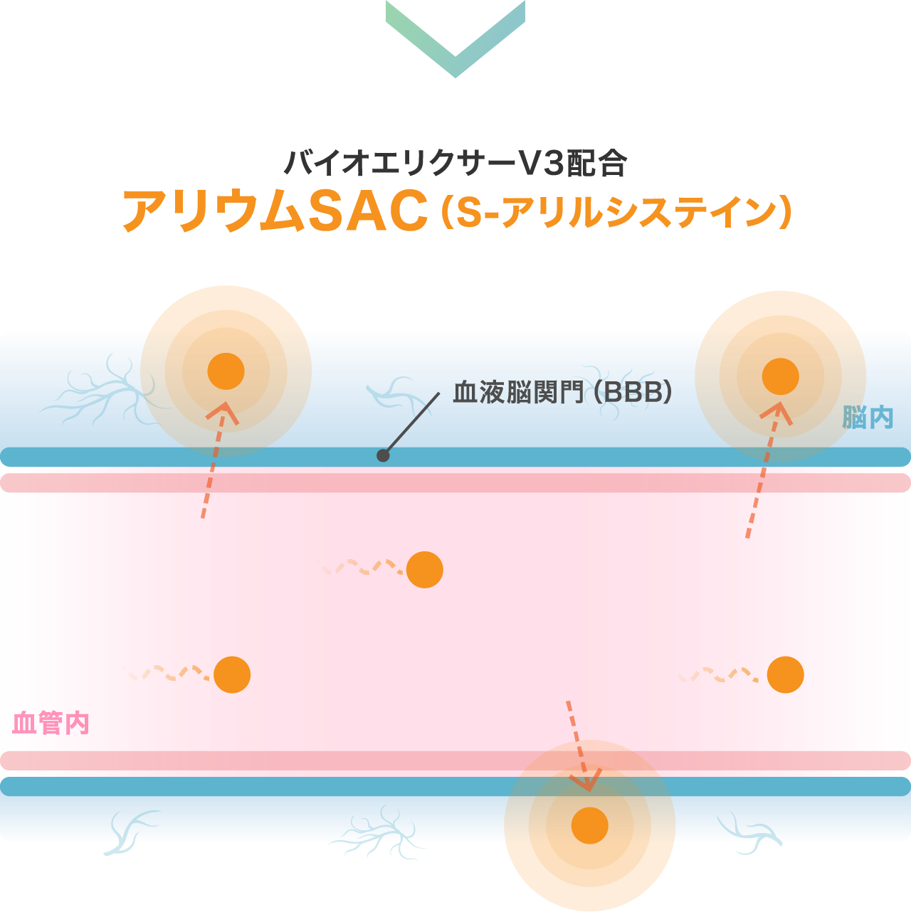 バイオエリクサーV3配合