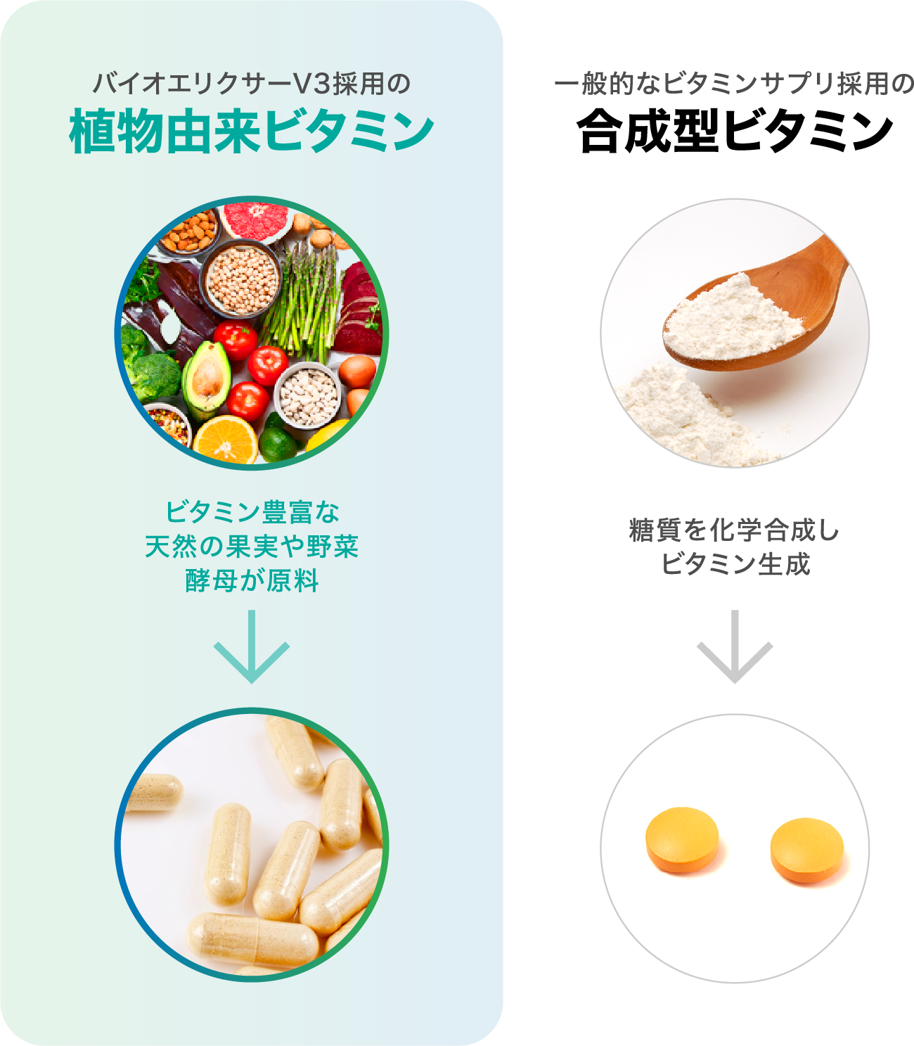 バイオエリクサーV3採用の植物由来ビタミン