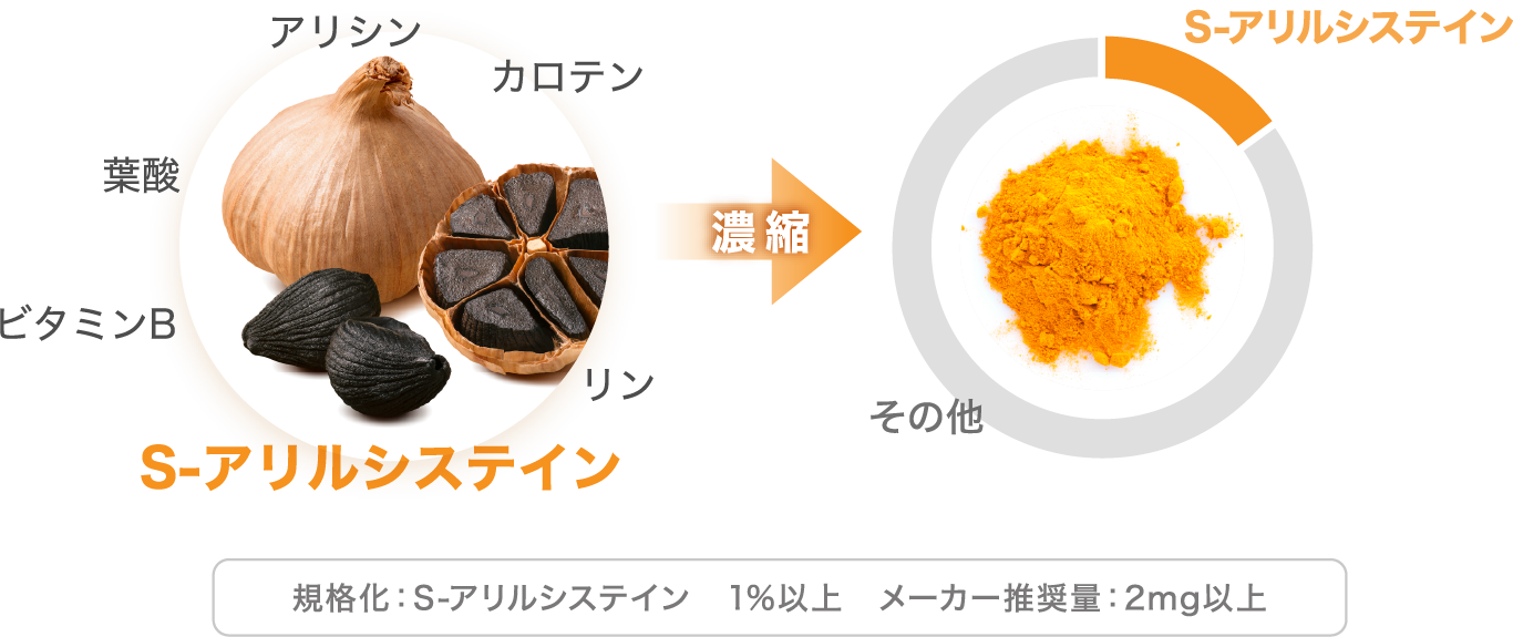 S-アリルシステイン