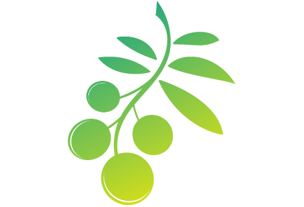 植物由来ビタミン