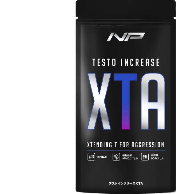 定期便