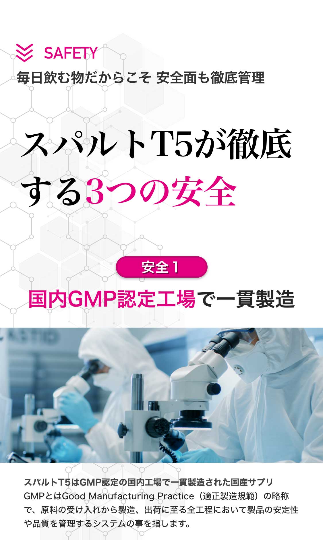 公式】スパルトT5｜ヨルをキタエる