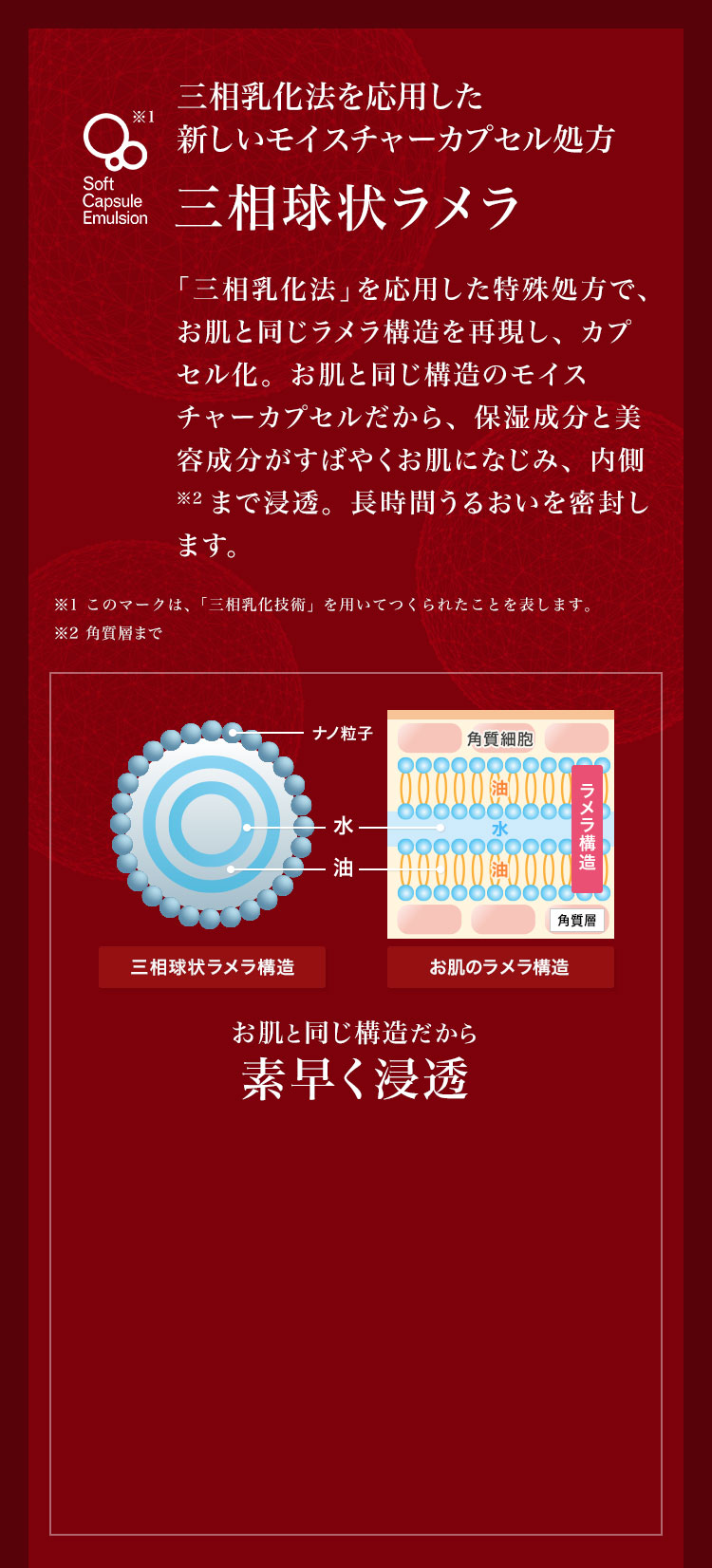 ♥エトワールボーテ　ホワイトメモリークリーム　6個セット 今なら送料無料！】エトワールボーテ ホワイトメモリークリーム