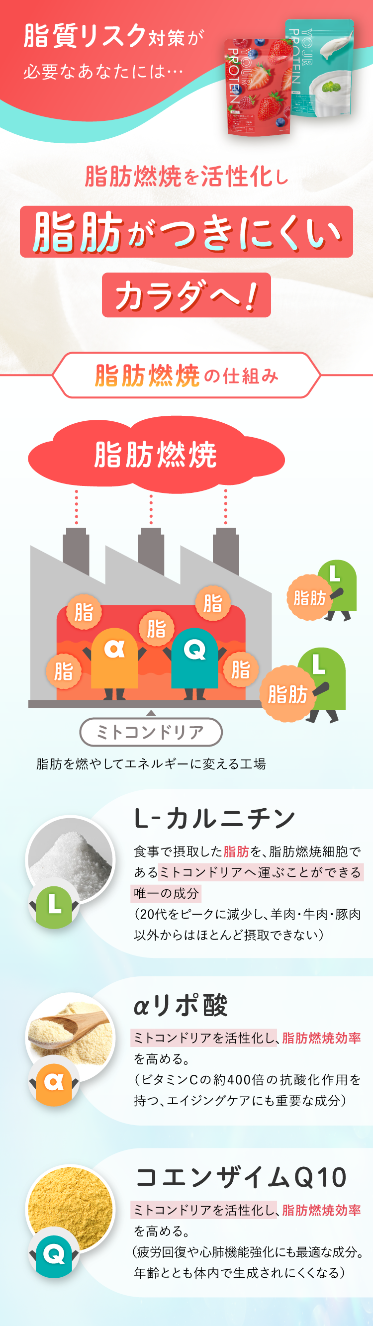 検査結果に基づいたあなたに最適なダイエットプロテインYOUR PROTEIN