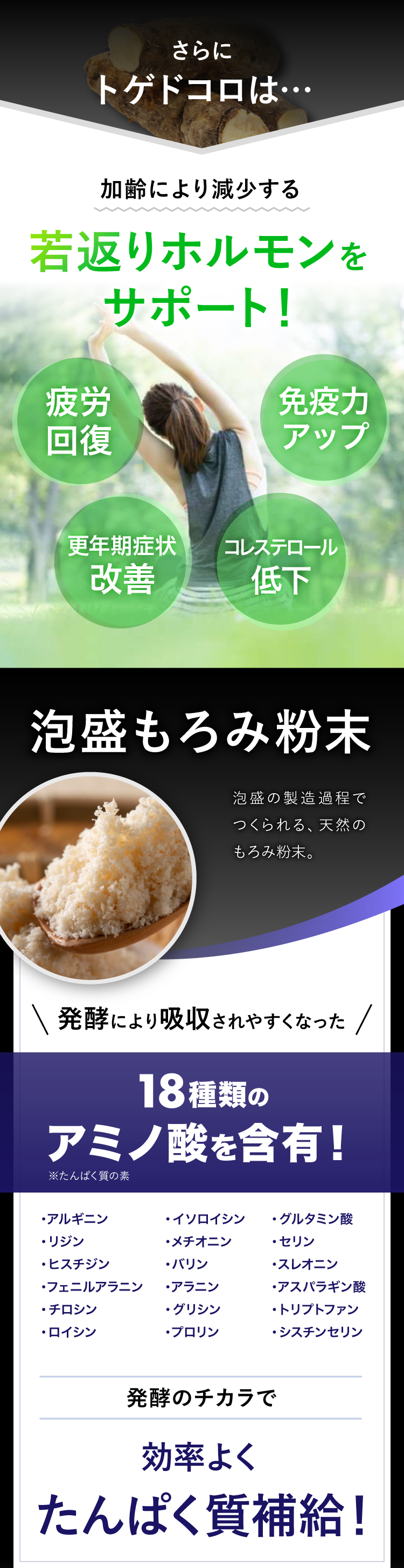 【新品未開封】遺伝子博士　脂質ケア　プロテイン　サプリ＆プロテイン 遺伝子博士ダイエットサプリ