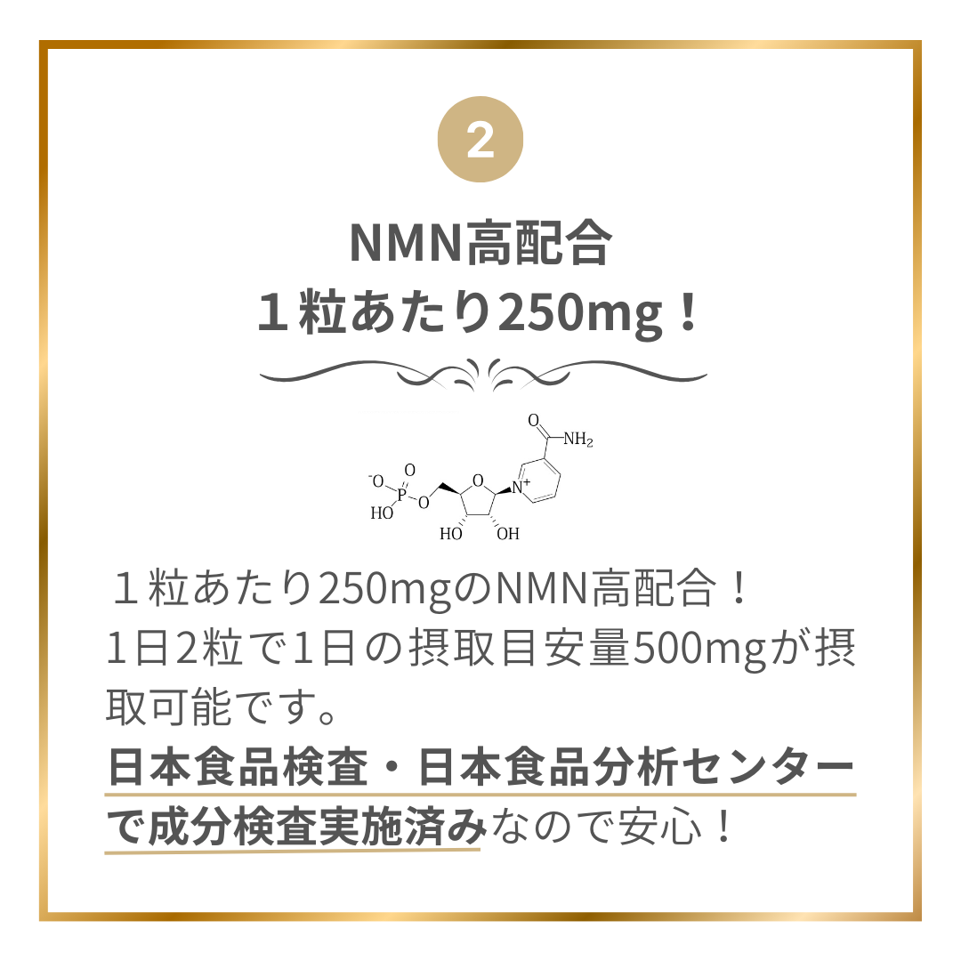 NMN15000 with レスベラトロール EXセット