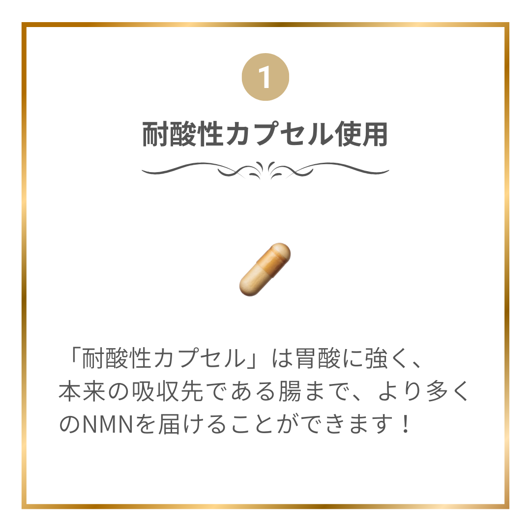 NMN15000 with レスベラトロール 2個セット