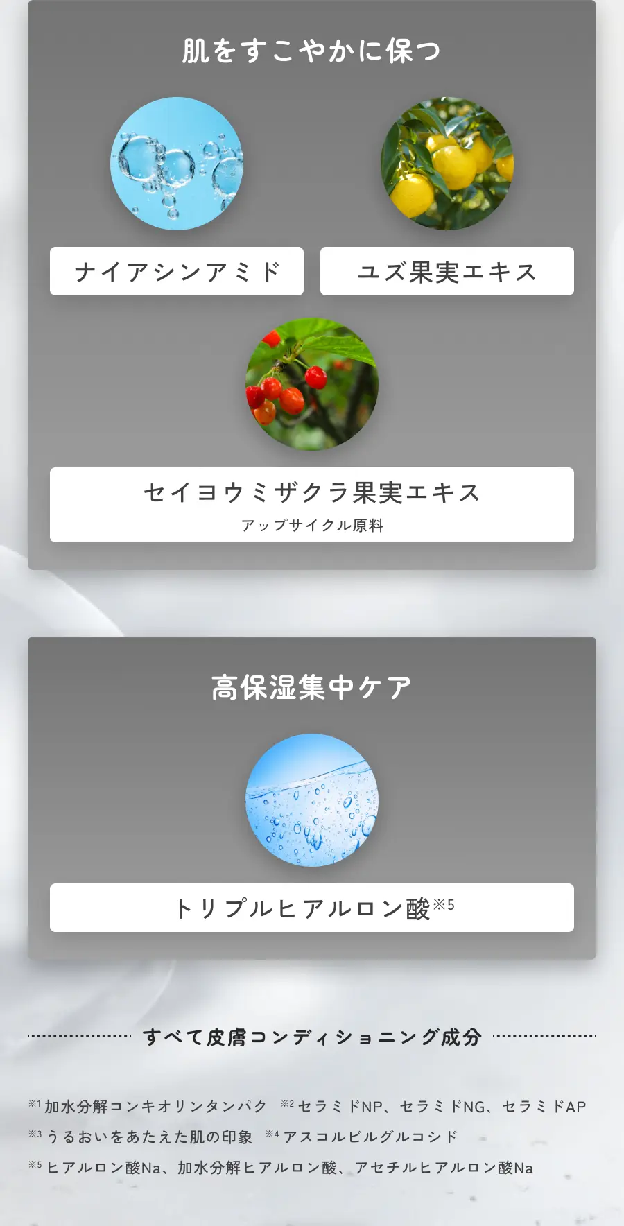 肌をすこやかに保つ 高保湿集中ケア すべて皮膚コンディショニング成分