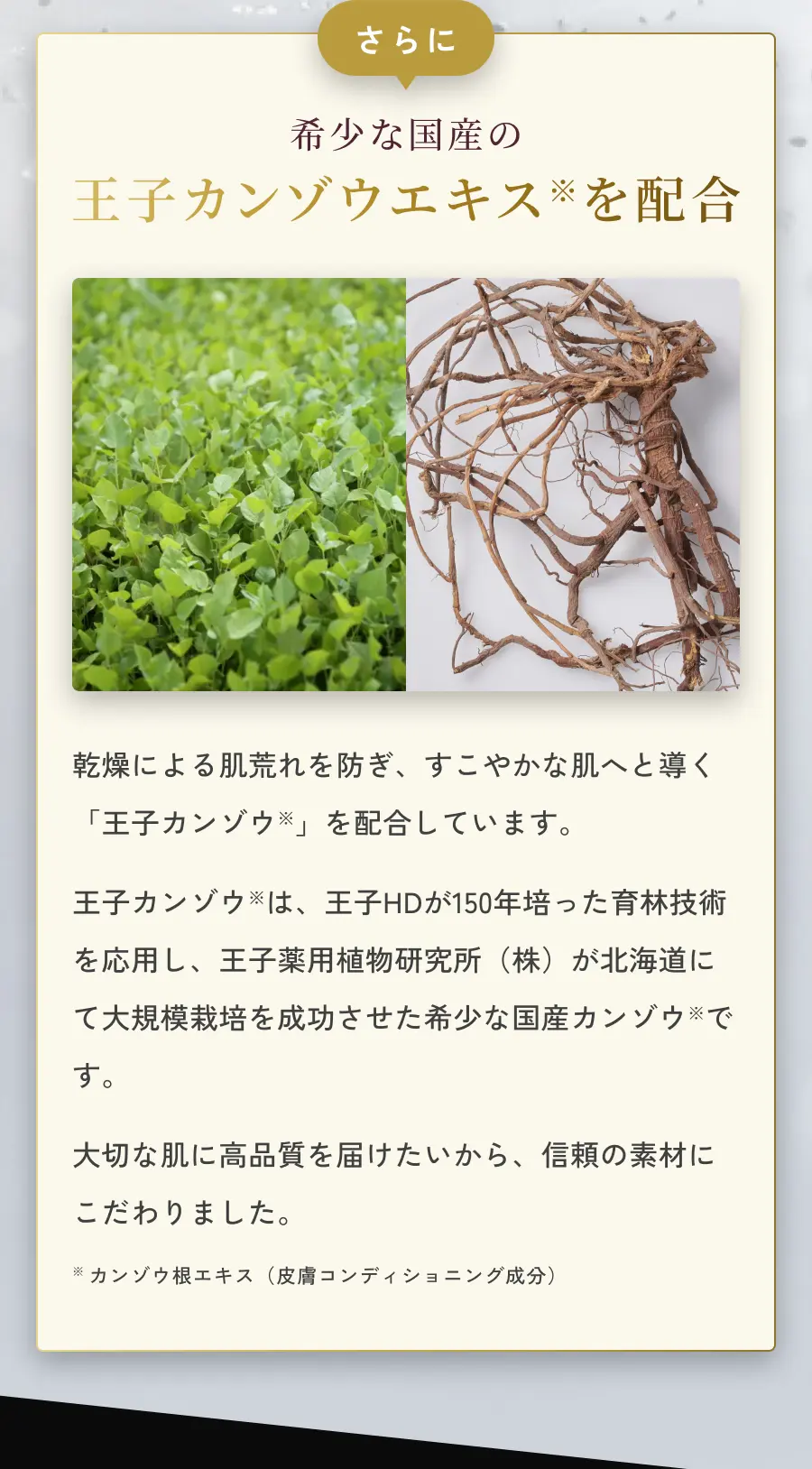 さらに希少な国産の王子カンゾウエキス※を配合
