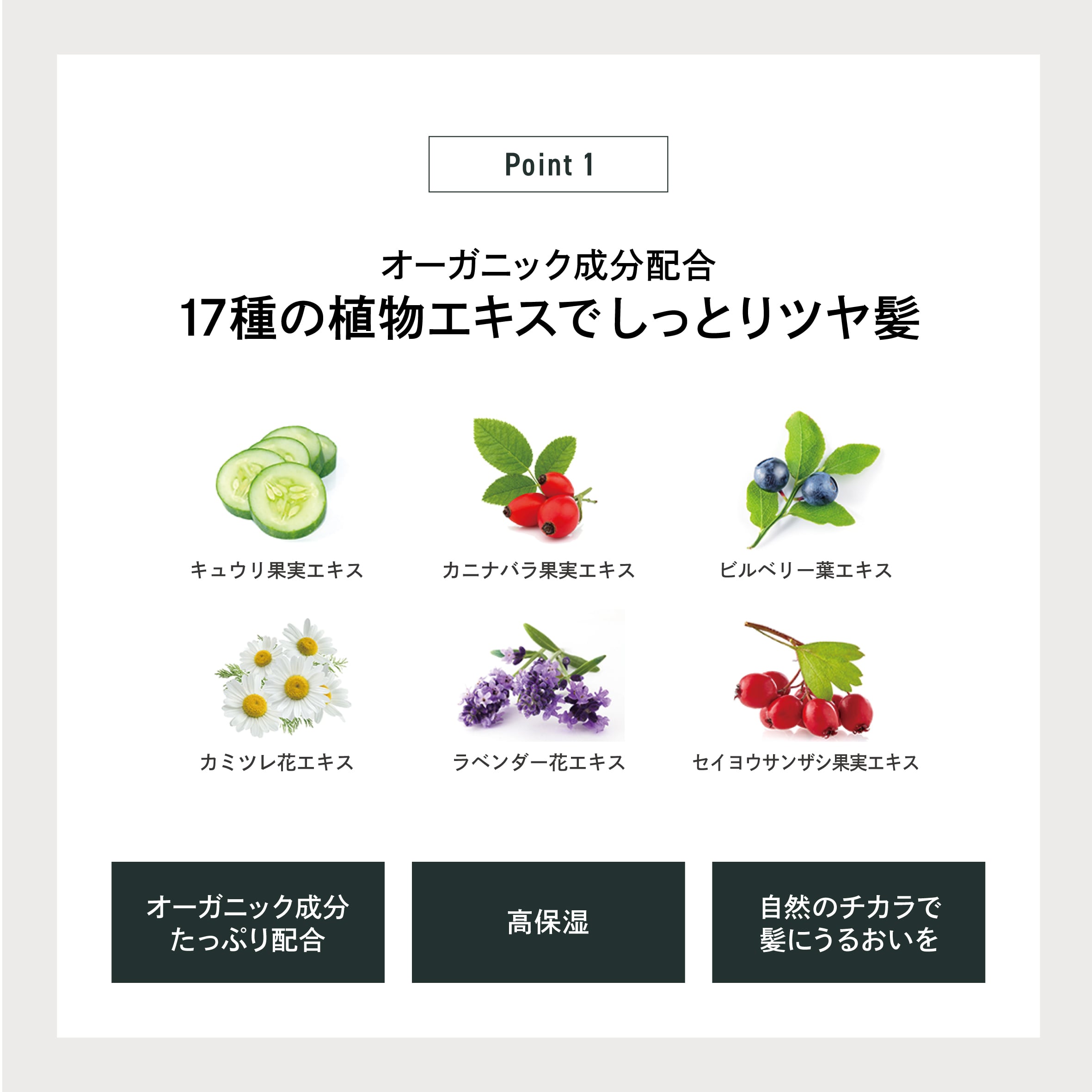 EPIS お試しモイスチュアシャンプー＆トリートメントセット｜LDK A評価 オーガニック 旅行用 ダメージケア