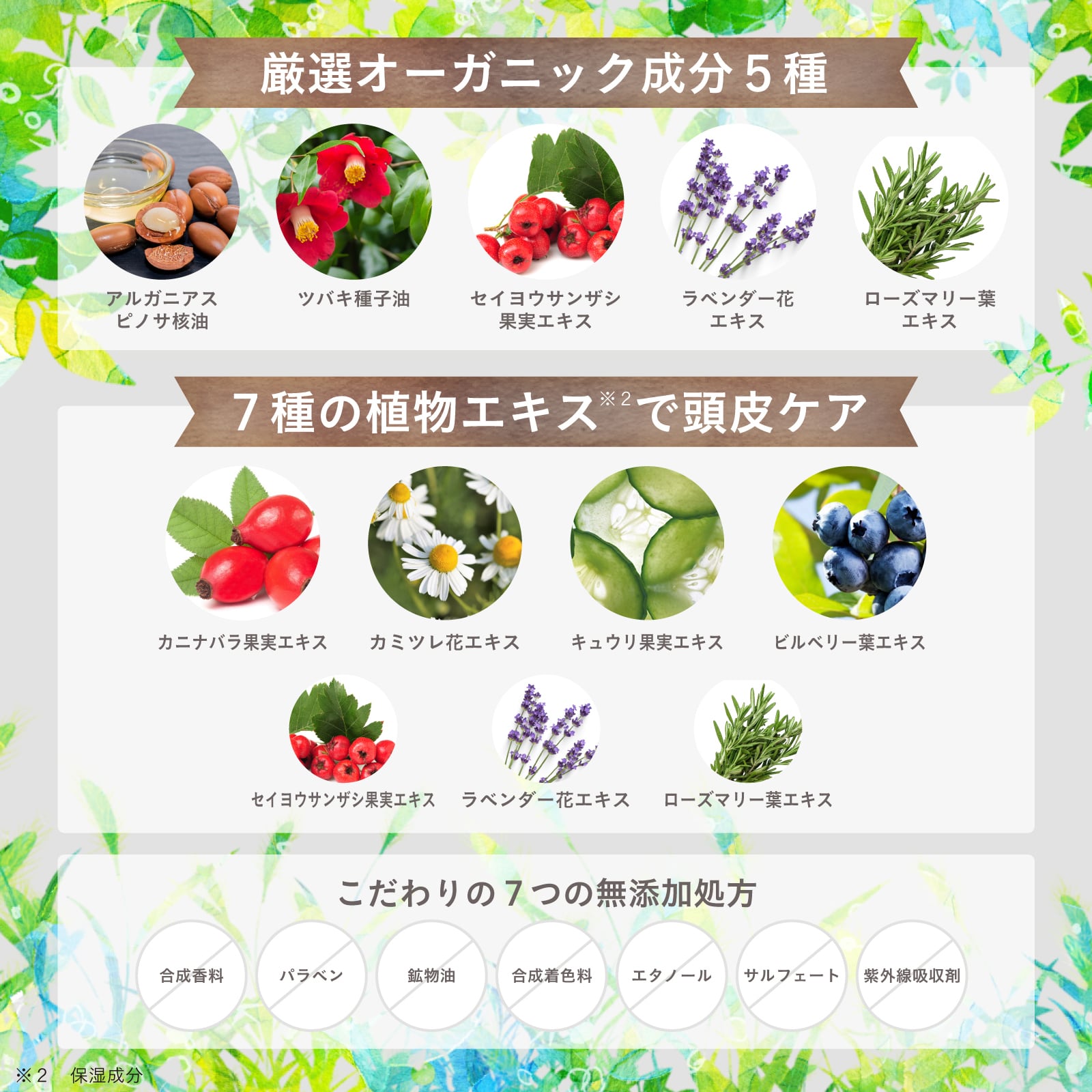 EPIS ビタミンソルベ ヘッドスクラブ シトラス｜日本製 頭皮ケア ヘアケア 200g