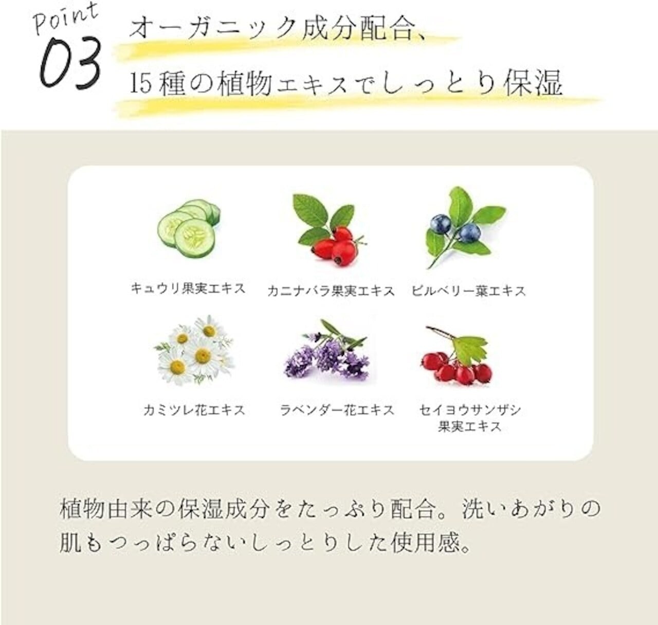 EPIS ローション・セラム・フェイスウォッシュセット｜定期便