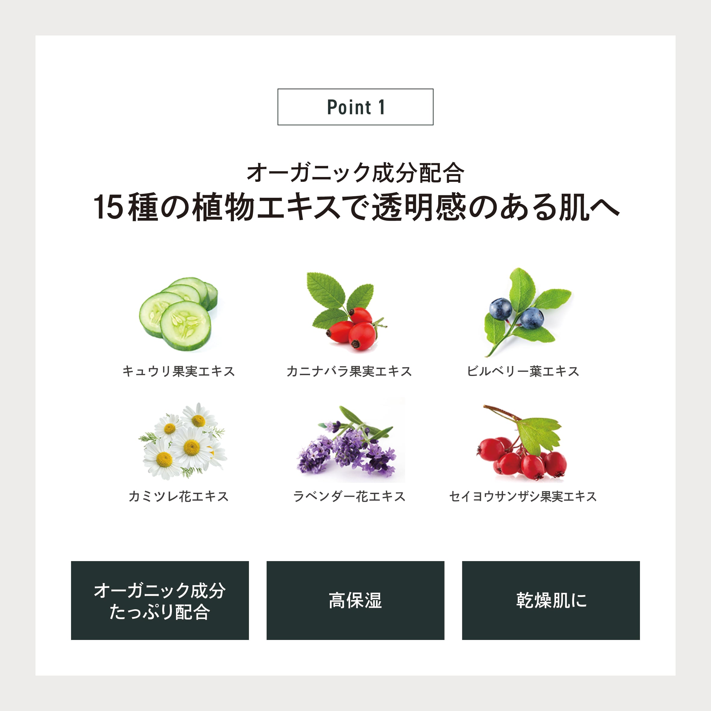 EPIS 高保湿化粧水（ローション）＋高保湿美容液（乳液）セット｜定期便