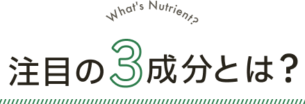 注目の3成分とは？