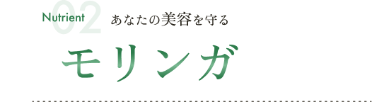あなたの美容を守るモリンガ