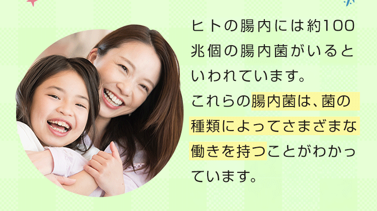 菌の種類によってさまざまな働きを持つ
