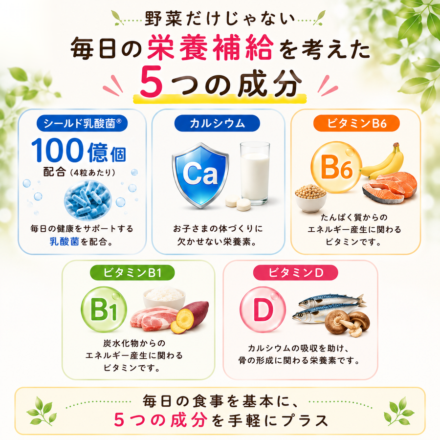 シールド乳酸菌 カルシウム ビタミンB1 ビタミンB6 ビタミンD配合
