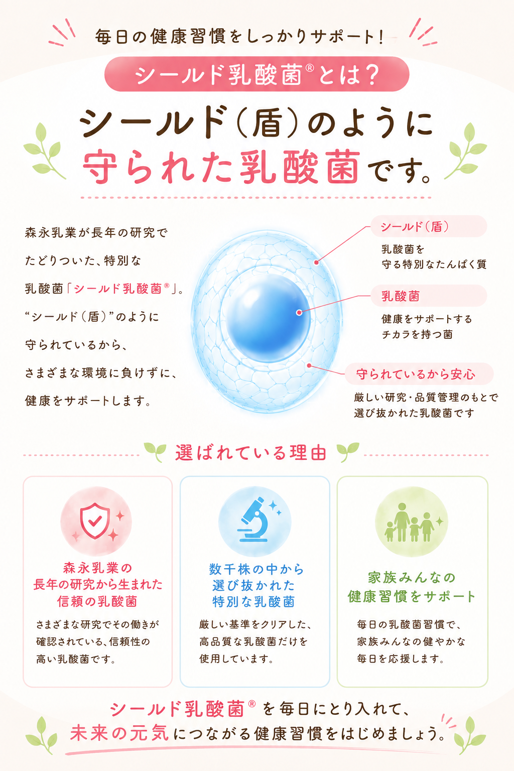 シールド乳酸菌について