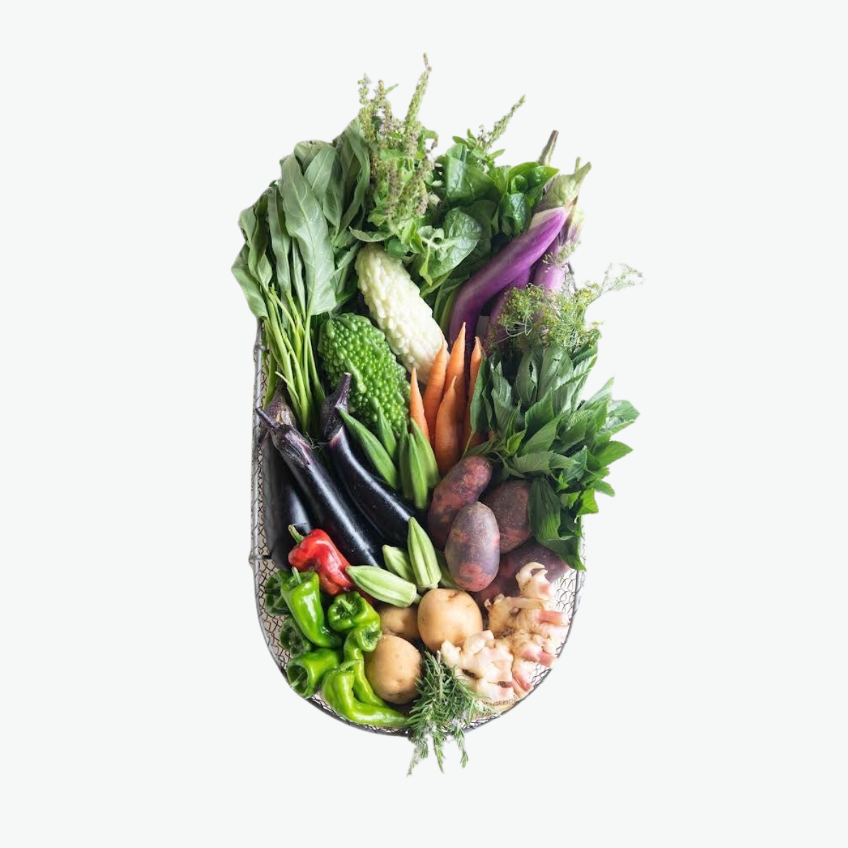 旬の採れたてオーガニック野菜９種類セット