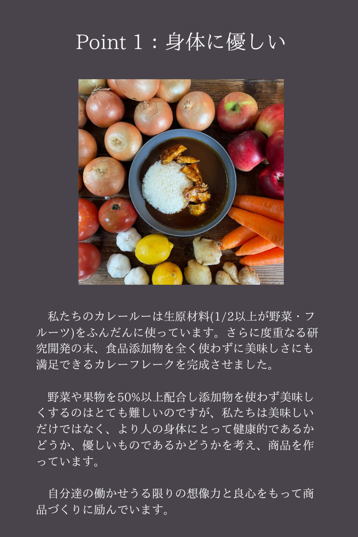 クラフトカレーブラザーズ 2-3食分 100g 10袋セット