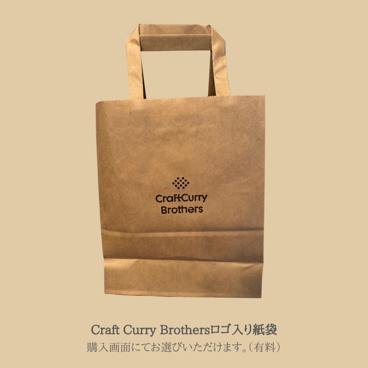 クラフトカレーブラザーズ 2-3食分 100g 10袋セット