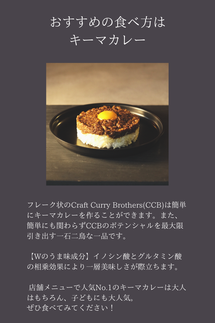 クラフトカレーブラザーズ 2-3食分 100g 10袋セット