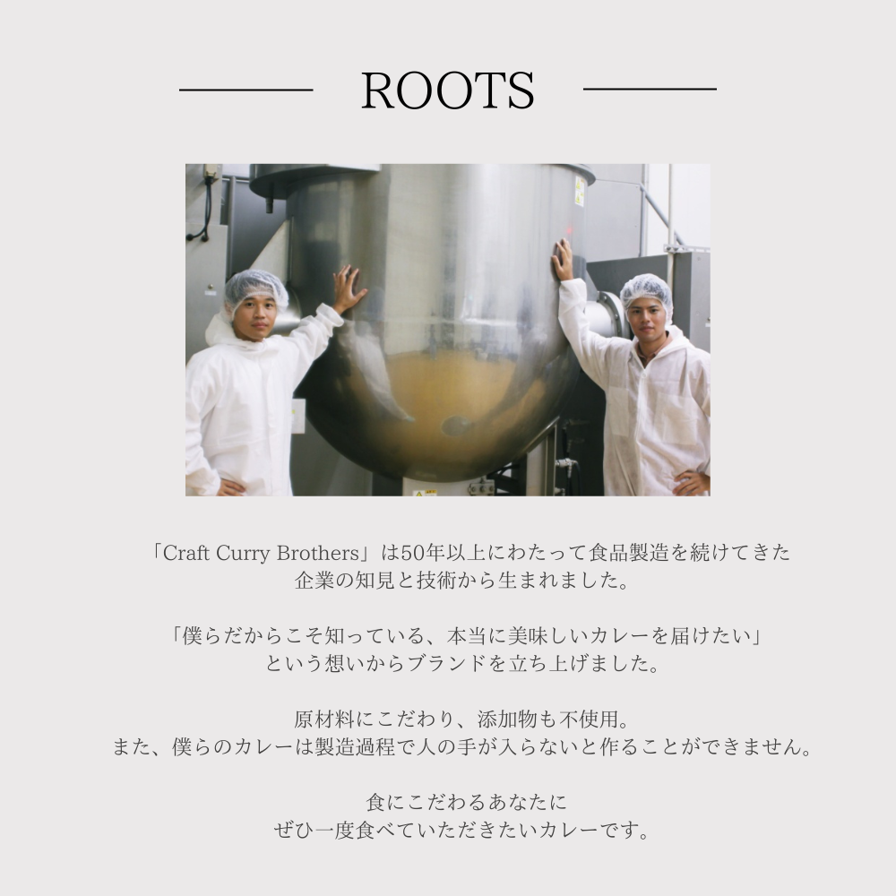 やさやさカレー 3-4食分 120g 定期便