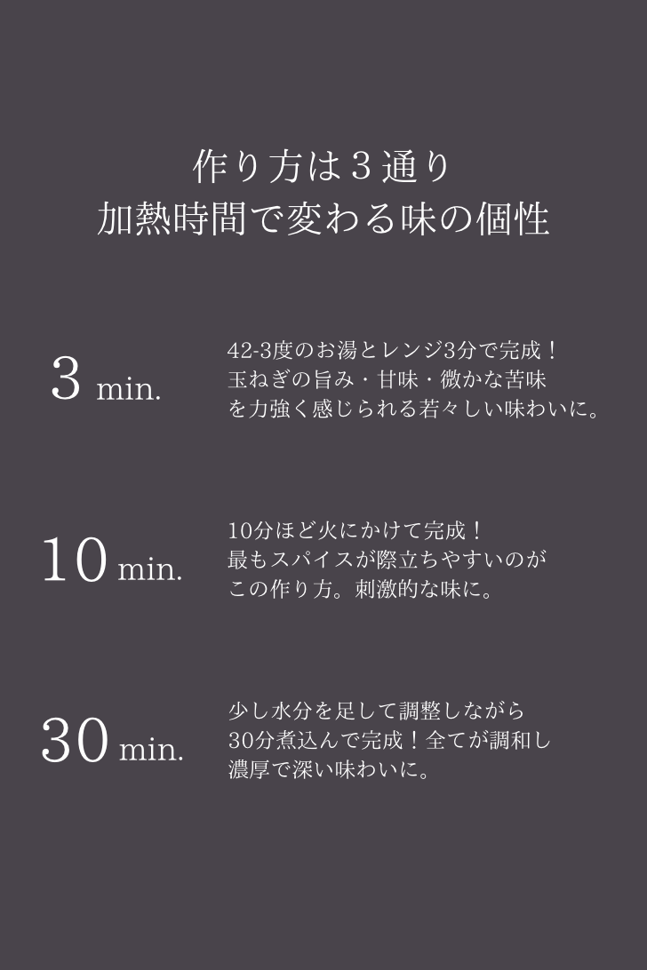クラフトカレーブラザーズ 2-3食分 100g 10袋セット
