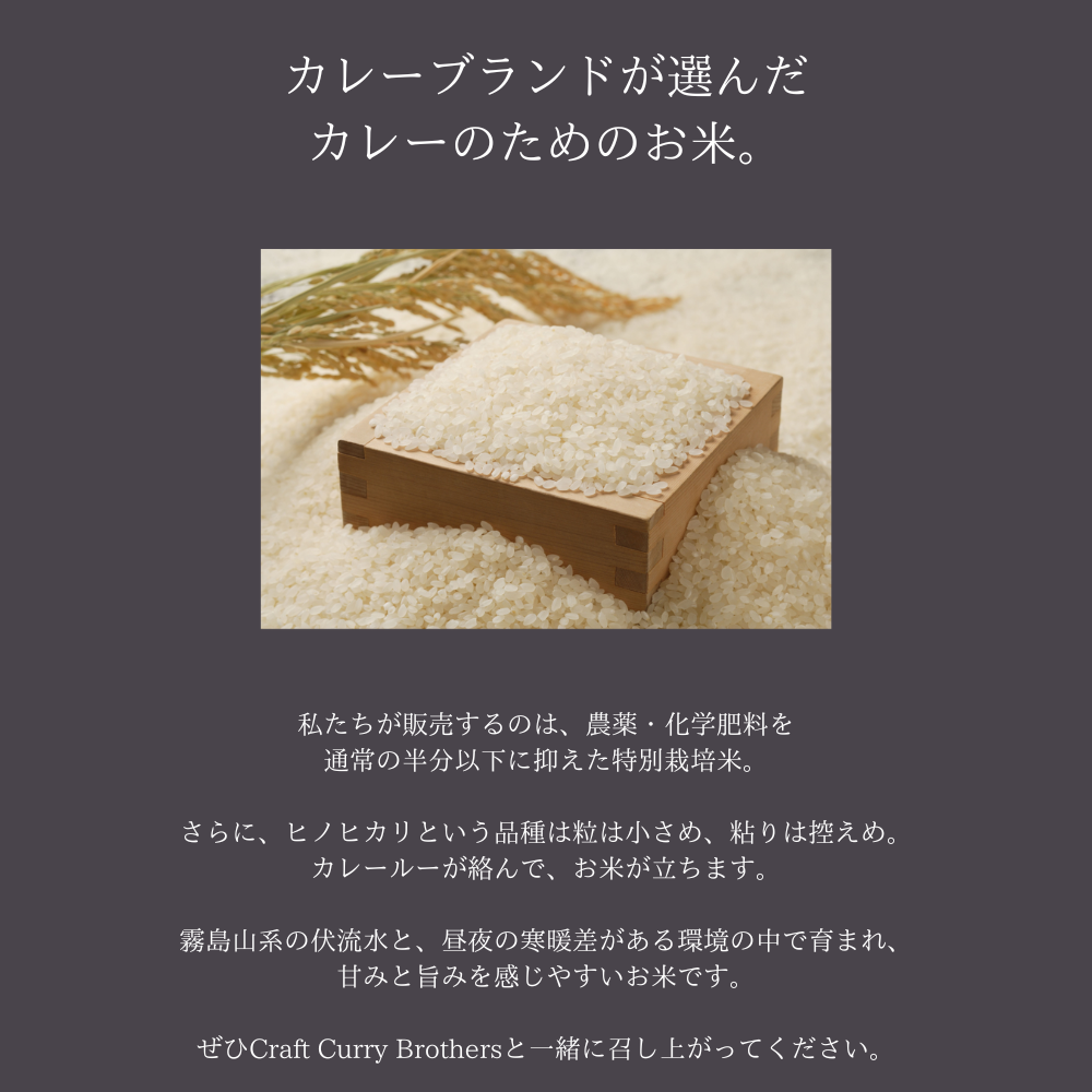 【特別栽培米セット】クラフトカレーブラザーズ 5-6食分 250g＋宮崎県産ヒノヒカリ2kg　定期便