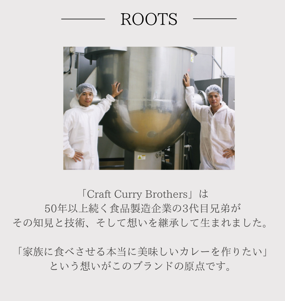 やさやさカレー 3-4食分 120g 定期便(2袋セット)