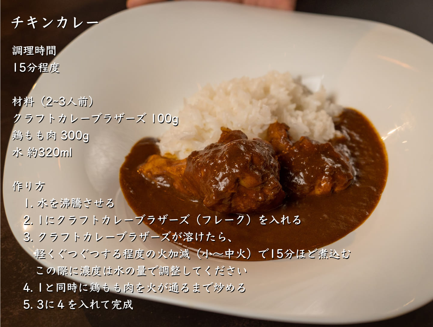 クラフトカレーブラザーズ 2-3食分 100g 10袋セット