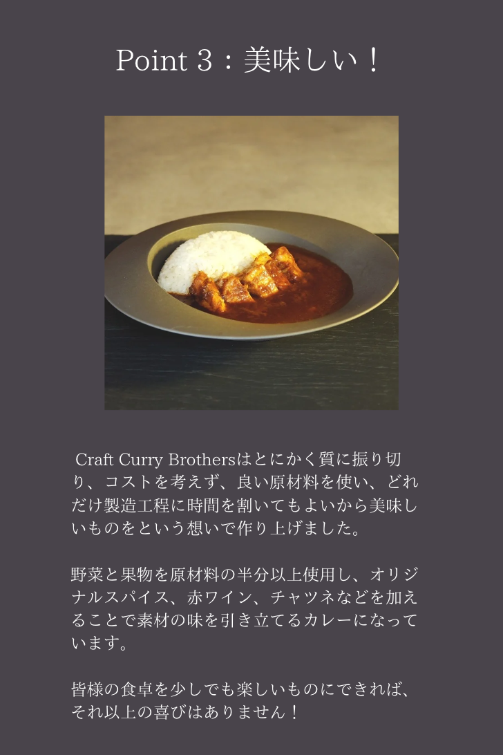 クラフトカレーブラザーズ 2-3食分 100g 10袋セット