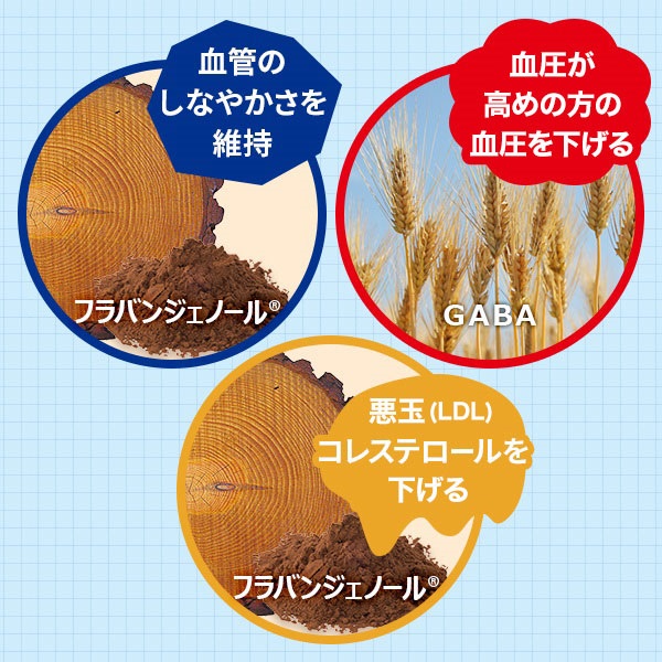 ※【東洋ウェルネス】フラバン 血管サポート