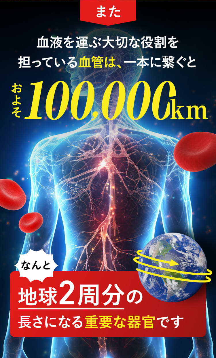 なんと地球2周分の長さになる重要な器官です