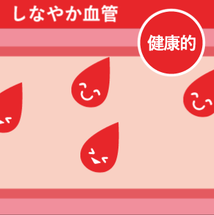 しなやか血管