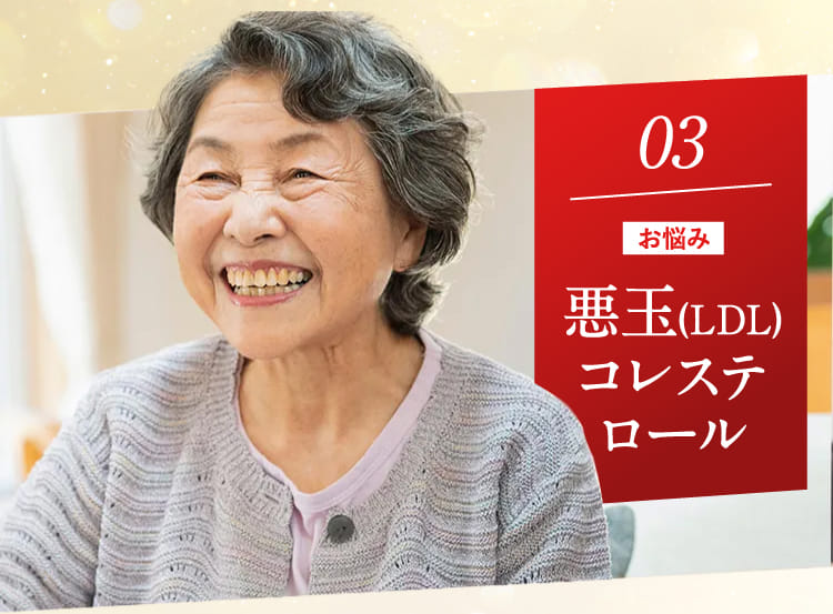 03 お悩み 悪玉コレステロール