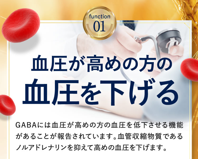 function01 高めの血圧を下げる
