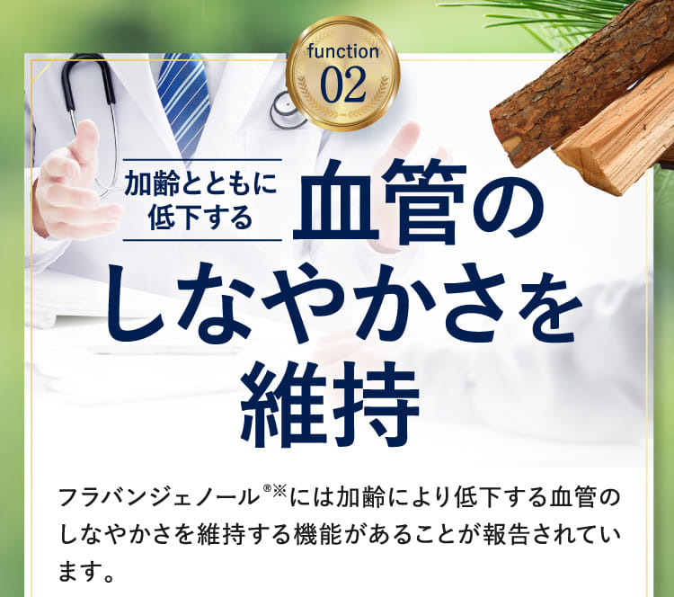function02 血管のしなやかさを維持