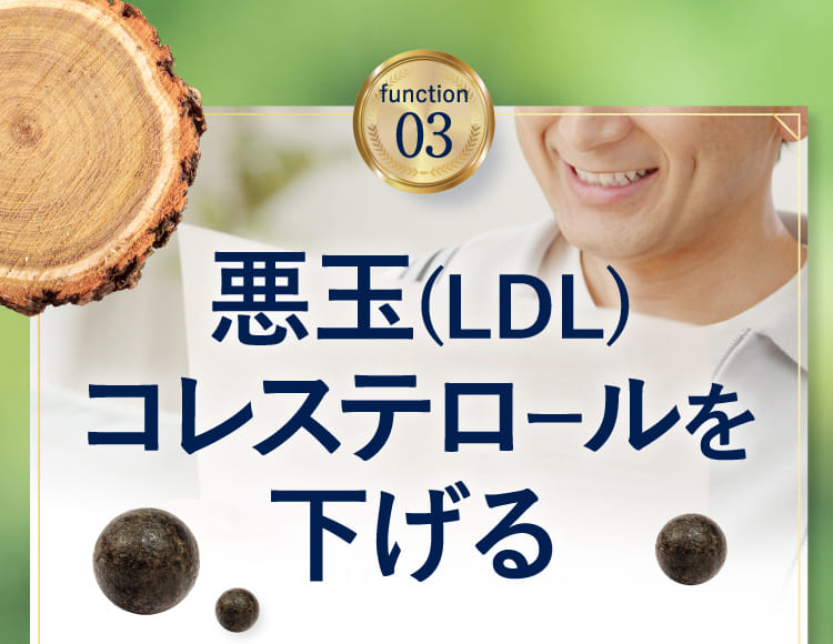 function03 悪玉コレステロールを下げる