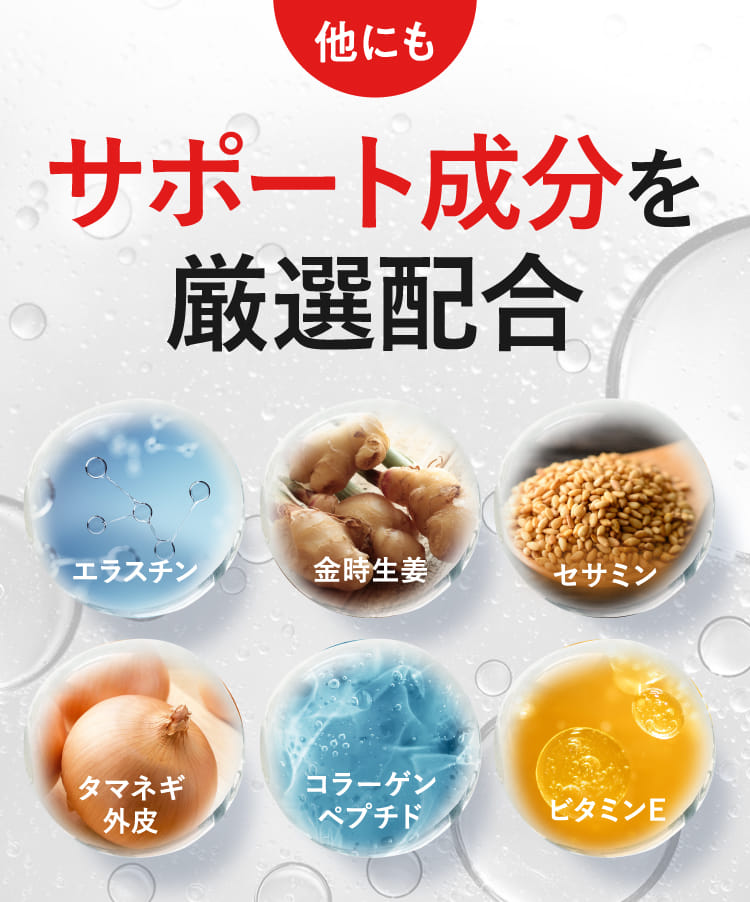 他にもサポート成分を厳選配合