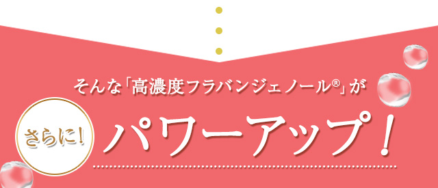高濃度フラバンジェノール(R)が更にパワーアップ!