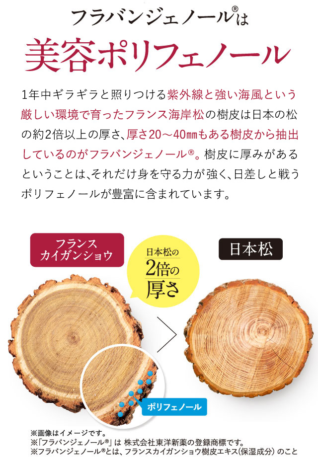 フラバンジェノールは美容ポリフェノール