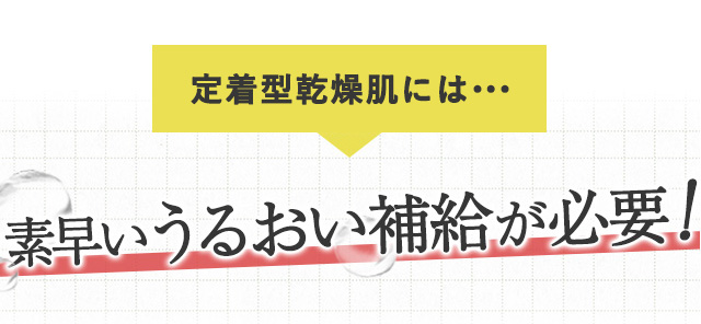 定着型乾燥肌には素早いうるおい補給が必要!